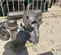 2016 Texas Process Equipment PD30S-ASS-STT-C Pump