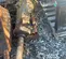 2017 Atlas Copco SB 452 Attachment