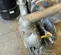 2021 VERSAMATIC E3SA5T559C-ATEX Pump