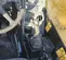 2018 JCB 512-56 S Forklift
