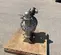 2018 VERSAMATIC E3SA5T559C-ATEX Pump