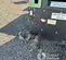 2019 Sullair 400EH DPQ-CU4F Air Compressor