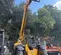 2017 JCB 507-42 Forklift
